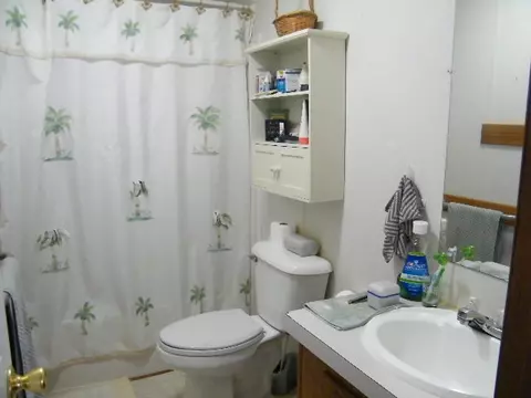 15 Promise Ct, Sylva, NC 28779 photo 22