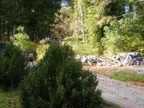 114 Capuchin Dr, Sylva, NC 28779 photo 36