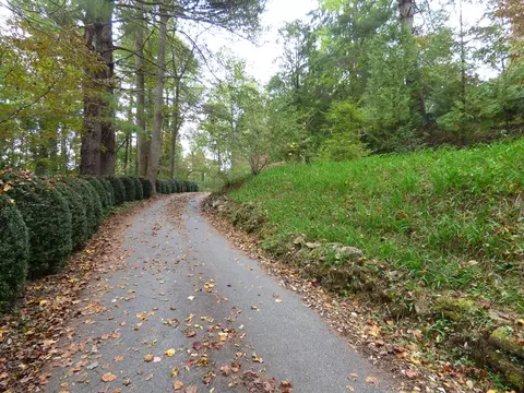 102 Teaberry, Cullowhee, NC 28723 photo 26