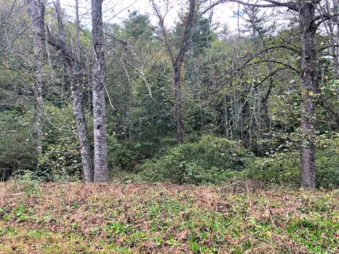378 Moonlight Dr, Sylva, NC 28779 photo 8