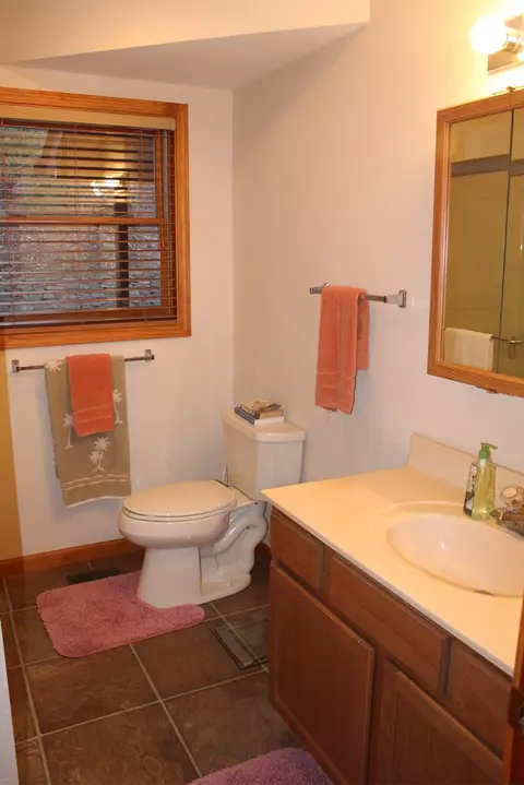 113 Tilia Trl, Sylva, NC 28779 photo 10