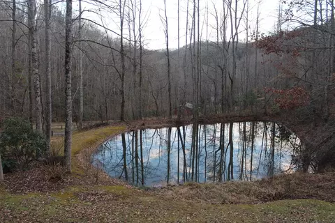 113 Tilia Trl, Sylva, NC 28779 photo 25