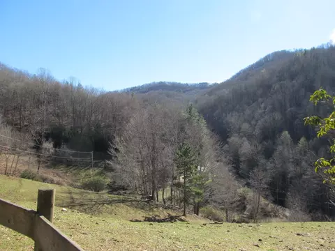 3577 Pumpkintown Rd, Sylva, NC 28779 photo 7