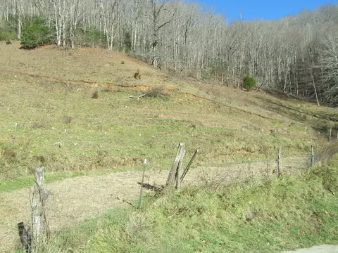 3577 Pumpkintown Rd, Sylva, NC 28779 photo 42