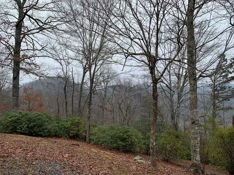 69 Norcross Ln, Sylva, NC 28779 photo 18