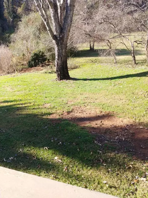 363 Monteith Gap Rd, Cullowhee, NC 28723 photo 5