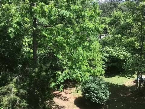 765 Bailey Rd, Franklin, NC 28734 photo 10