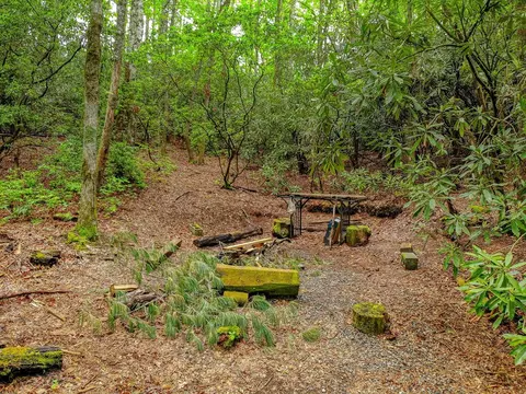95 Bayberry Cove Rd, Sylva, NC 28779 photo 20