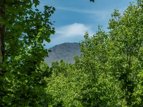207 Meldaway Dr, Sylva, NC 28779 photo 13