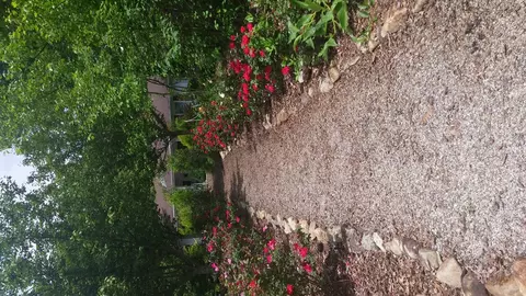 70 Summit Rd, Otto, NC 28763 photo 35