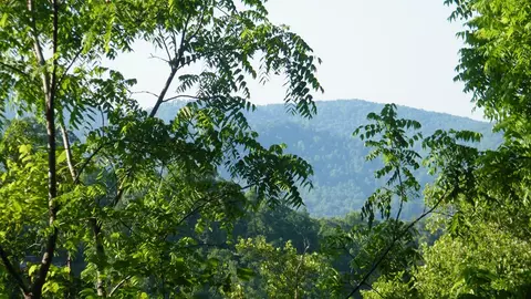 1135 N Fork Rd, Sylva, NC 28779 photo 2