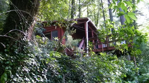 1135 N Fork Rd, Sylva, NC 28779 photo 27