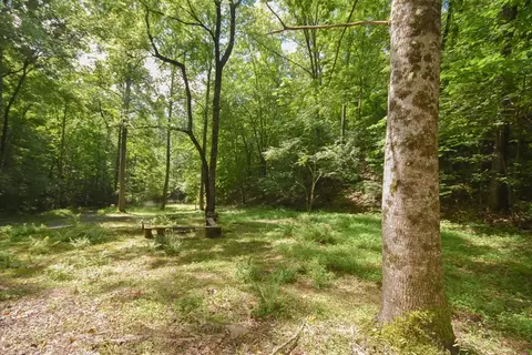 91 Limestone Dr, Franklin, NC 28734 photo 42