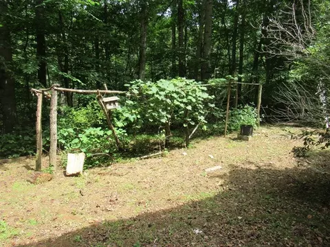 232 Enchanted Forest Dr, Sylva, NC 28779 photo 3