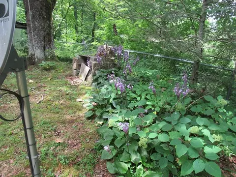 232 Enchanted Forest Dr, Sylva, NC 28779 photo 2