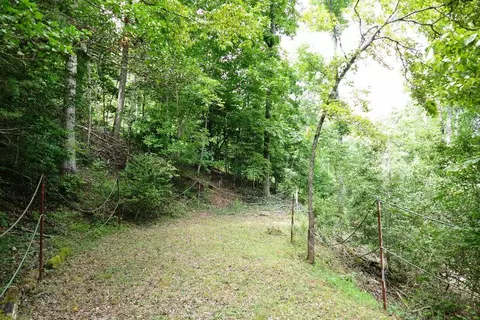 785 Lyle Downs Rd, Franklin, NC 28734 photo 7