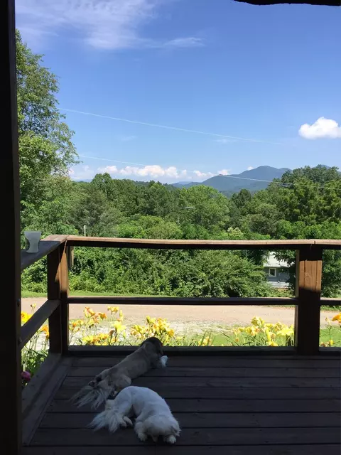 23 Bent Pine Trl, Sylva, NC 28779 photo 4