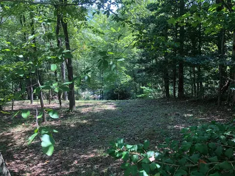 23 Bent Pine Trl, Sylva, NC 28779 photo 36