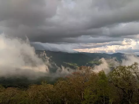 2960 Rosemount Rd, Sylva, NC 28779 photo 17