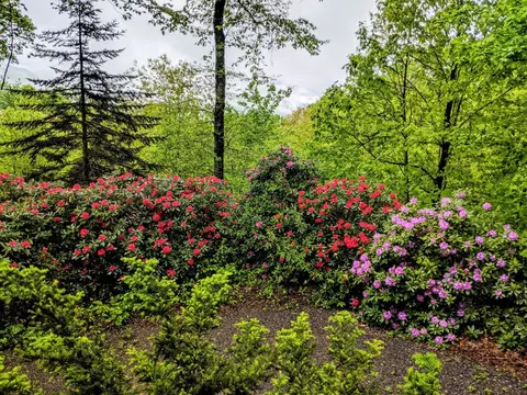 2960 Rosemount Rd, Sylva, NC 28779 photo 18