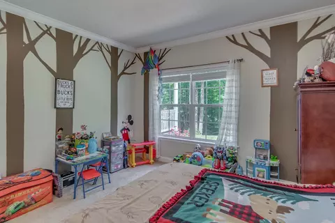 18 Timeless Trl, Sylva, NC 28779 photo 28