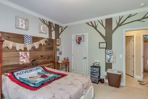 18 Timeless Trl, Sylva, NC 28779 photo 29