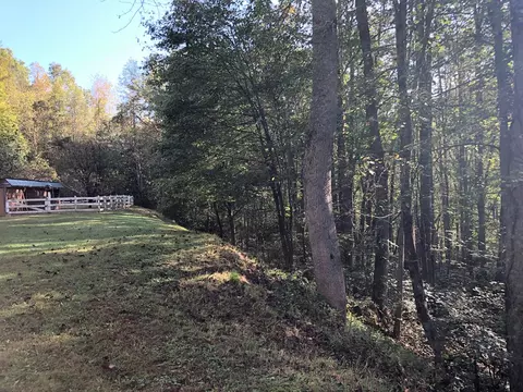 516 Nicholson Cove Rd, Cullowhee, NC 28723 photo 3