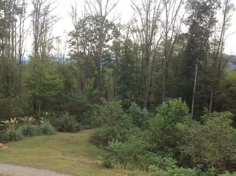 324 Old Rogers Ln, Sylva, NC 28779 photo 29