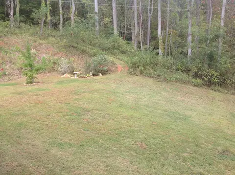 324 Old Rogers Ln, Sylva, NC 28779 photo 35