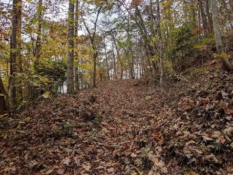 00 Joy Ln, Sylva, NC 28779