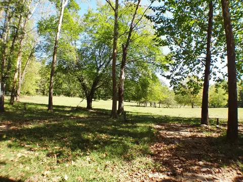 642 Ruby Mine Rd, Franklin, NC 28734 photo 27