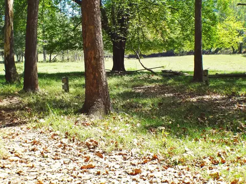 642 Ruby Mine Rd, Franklin, NC 28734 photo 23