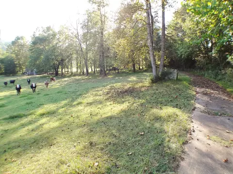 642 Ruby Mine Rd, Franklin, NC 28734 photo 2