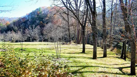 156 Grayling Dr, Cullowhee, NC 28723 photo 66