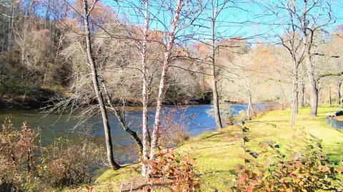 156 Grayling Dr, Cullowhee, NC 28723 photo 17