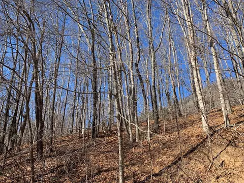 670 Rocky Face Rd, Sylva, NC 28779 photo 3