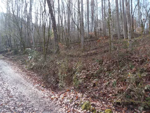 144 Falling Water Rd, Franklin, NC 28734 photo 30
