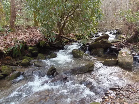 144 Falling Water Rd, Franklin, NC 28734 photo 6