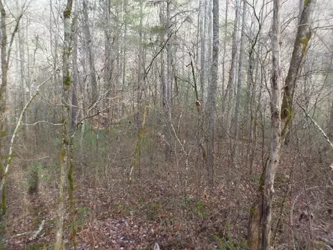 144 Falling Water Rd, Franklin, NC 28734 photo 24