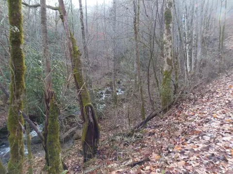 144 Falling Water Rd, Franklin, NC 28734 photo 29