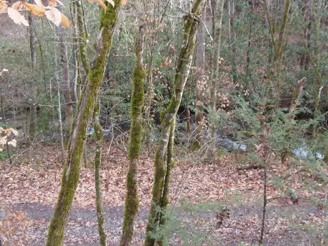 144 Falling Water Rd, Franklin, NC 28734 photo 27