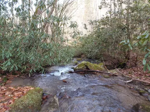 144 Falling Water Rd, Franklin, NC 28734 photo 8