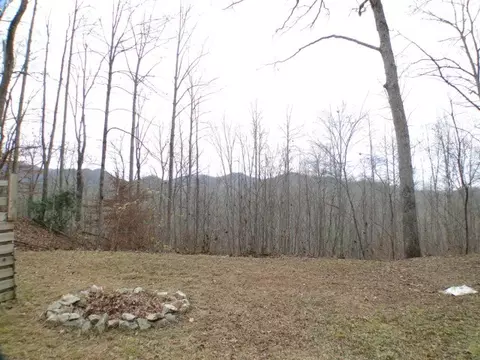 60 E Caesar Rd, Otto, NC 28763 photo 6