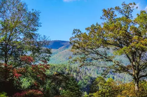 120 Pump Mountian Dr, Sylva, NC 28779 photo 4