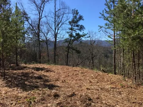246 Duchess Dr, Sylva, NC 28779 photo 2