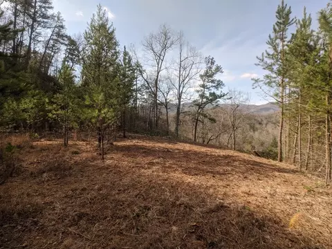 246 Duchess Dr, Sylva, NC 28779 photo 3