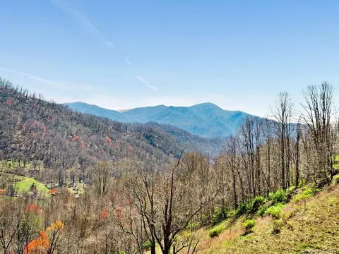 4789 Max Patch Rd, Clyde, NC 28721 photo 17