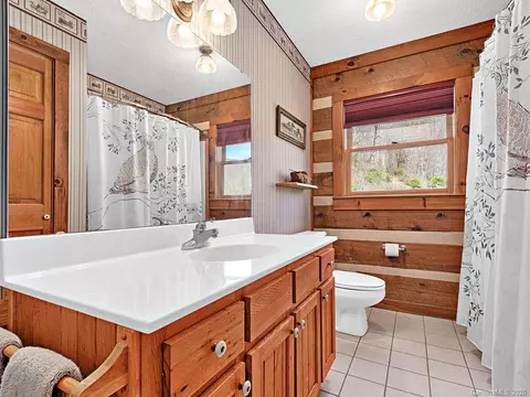 4789 Max Patch Rd, Clyde, NC 28721 photo 9