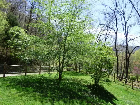 321 Caney Frk, Cullowhee, NC 28723 photo 32