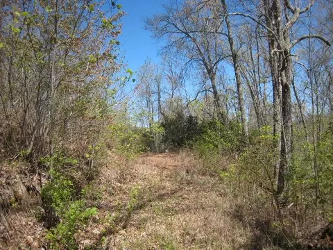 172 Singing Ridge Rd, Sylva, NC 28779 photo 39